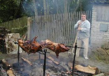 Strnadova třicítka