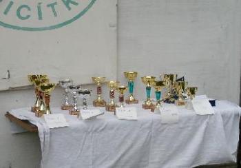 Strnadova třicítka